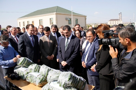 “Azərsun Holdinq”dən Cocuq Mərcanlıya dəstək