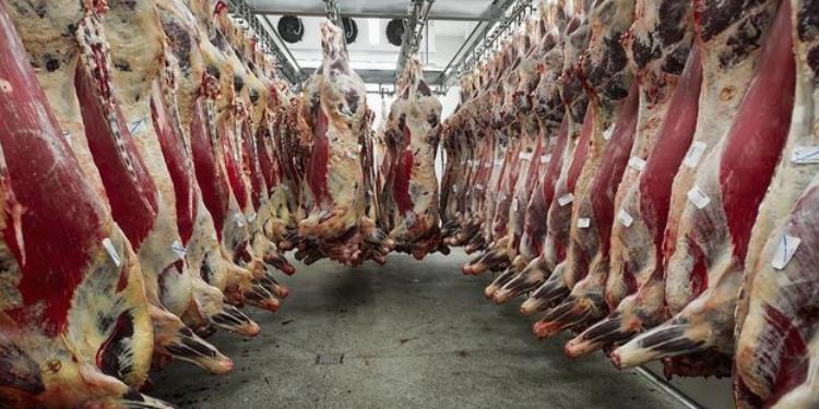   Heyvan qanı biznesi başlayır - TÜRKİYƏDƏ FABRİK QURULDU