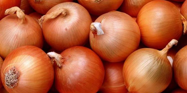 Azərbaycan iş adamlarına Türkiyədən yaxşı xəbər – 40 GUN VAXT VERİLİB