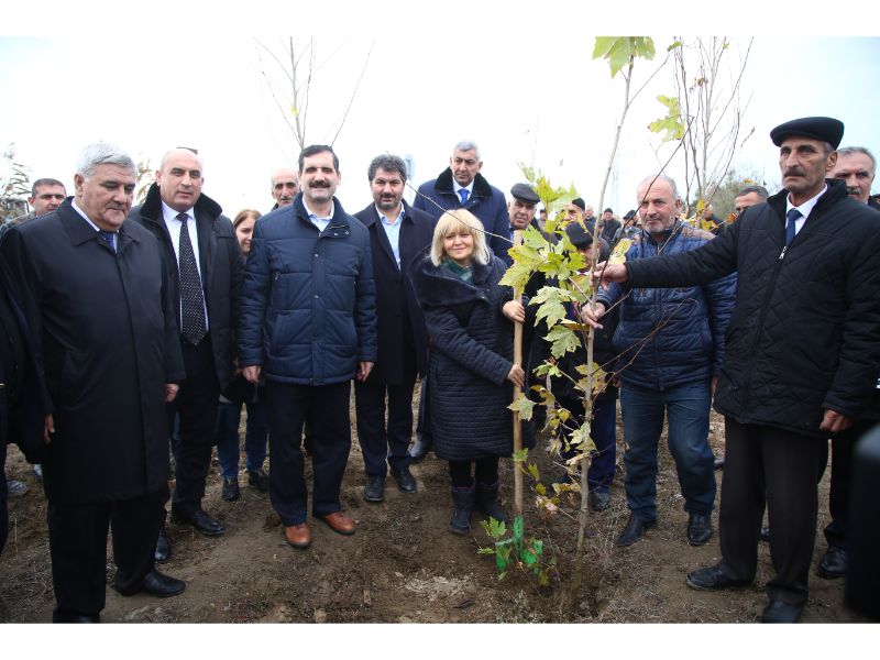 Deportasiya qurbanları yad edildilər